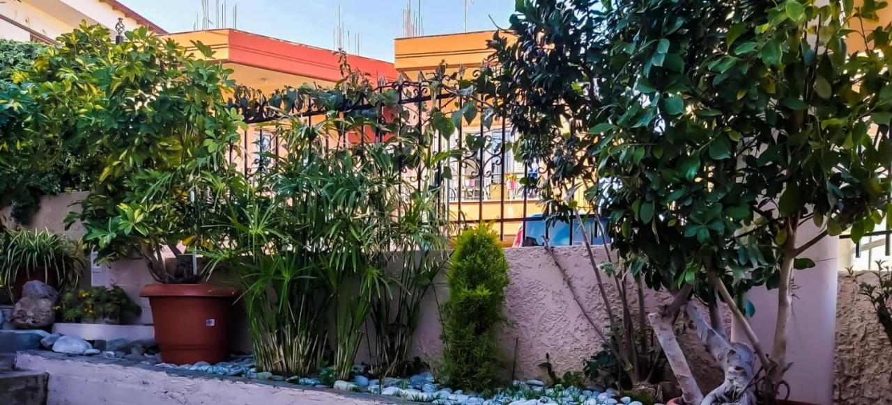 West Garden At Aigio By Greece Apartments Extérieur photo